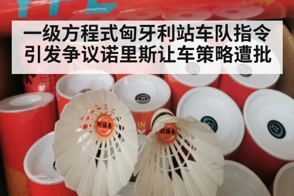 一级方程式匈牙利站车队指令引发争议诺里斯让车策略遭批