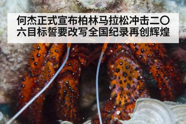 何杰正式宣布柏林马拉松冲击二〇六目标誓要改写全国纪录再创辉煌